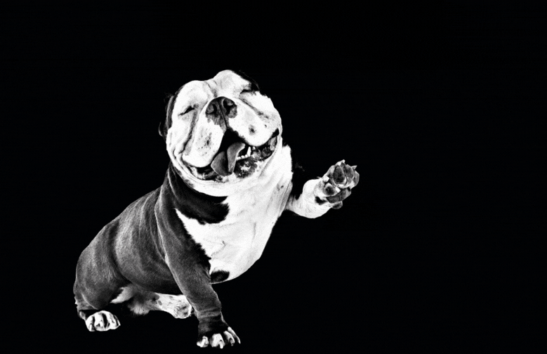 boutique-agence-tibulon-architecture-decoration-interieur-lyon-caluire